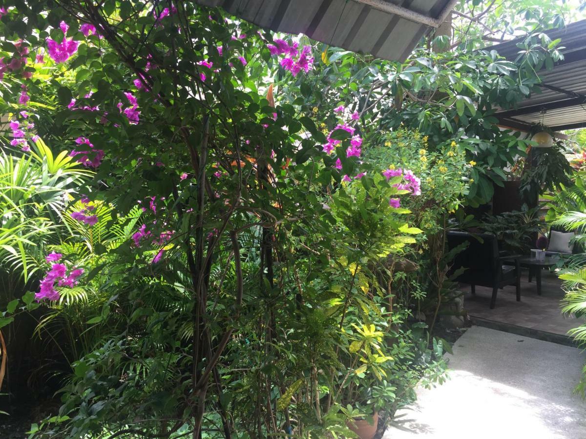 Отель Lemon House Samui Маенам Экстерьер фото